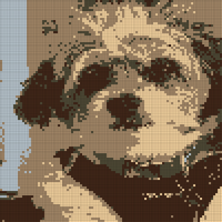 IMG_4181.jpeg