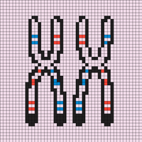 chromosomes.png