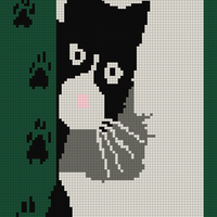Copy of Black cat blanket.jpg