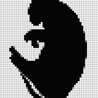cat.jpeg