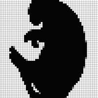 cat.jpeg