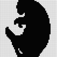 cat.jpeg