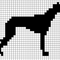 Copy of Greyhound