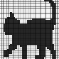 kitty