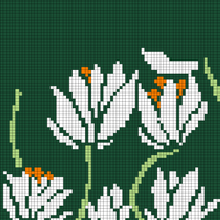fiori