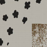 fleurs.jpg