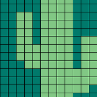 cactus MEMO