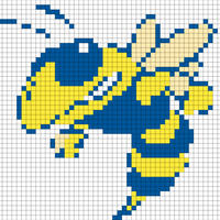 Mountain View Yellow Jacket