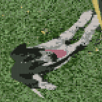 Screenshot_20240412-150030_Gallery.jpg