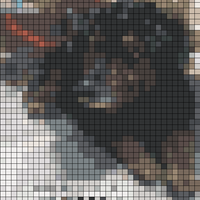 Screenshot_20230816-150104_Instagram.jpg