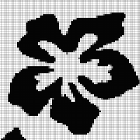 IMG_1303.jpeg
