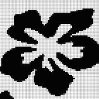 IMG_1303.jpeg