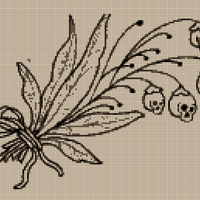 Copy of 4D65FF3D-7E9E-46AD-962D-84EDE7778C2E.jpeg