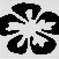 IMG_1305.jpeg