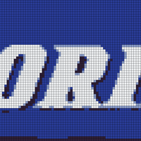 Florida Gator name.jpeg