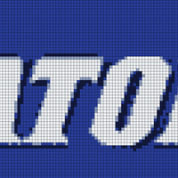 gator na,e.jpeg
