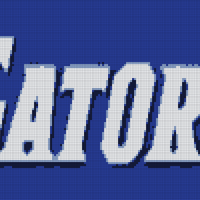 gator na,e.jpeg