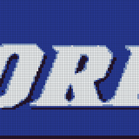Florida Gator name.jpeg