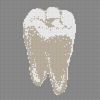 tooth.jpg