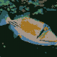 picasso_fish.jpg