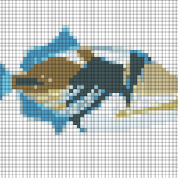 fish-red-sea-painted-triggerfish-260nw-1663504696.jpg