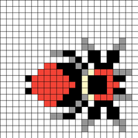 spider