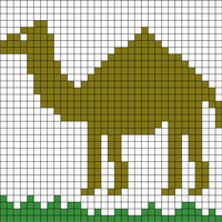 My Camel Hat