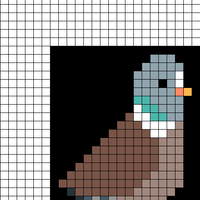 Copy of pigeon