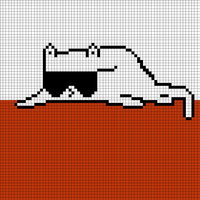 Cat in glasses