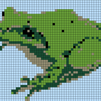 frog_for_graph.jpeg