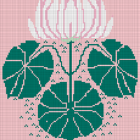 Water Lily