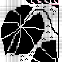 Copy of Water Lily