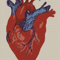 corazon
