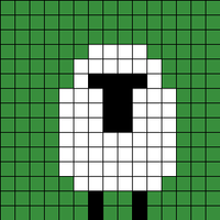 front sheep