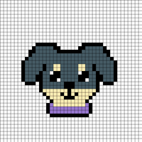Copy of chihuahua crazy