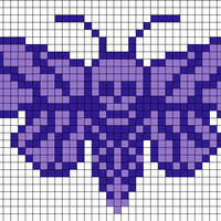 moth