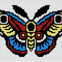 big moth