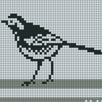 wagtail