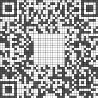 Insta QR