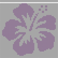 hibiscus flower