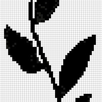 Copy of vine .jpg