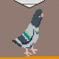 PIDGE