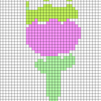 IMG_7732.png