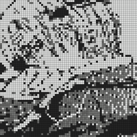 IMG_3483.jpeg