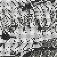 IMG_3483.jpeg