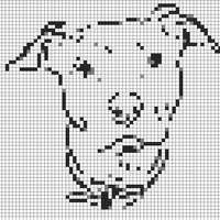 IMG_3594.jpeg