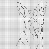 IMG_3595.jpeg