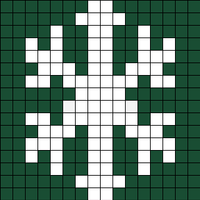 Copy of snowflake22.jpg.webp