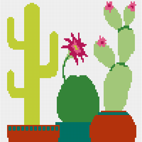 cactus cushion