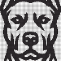 pitbull.webp